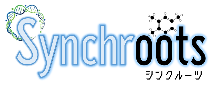 【運氣が自然に磨かれる】本来の自分とつながる。シンクロする＊『Synchroots』（シンクルーツ）
