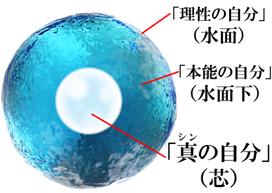 「理性の自分」「本能の自分」「真の自分」の図