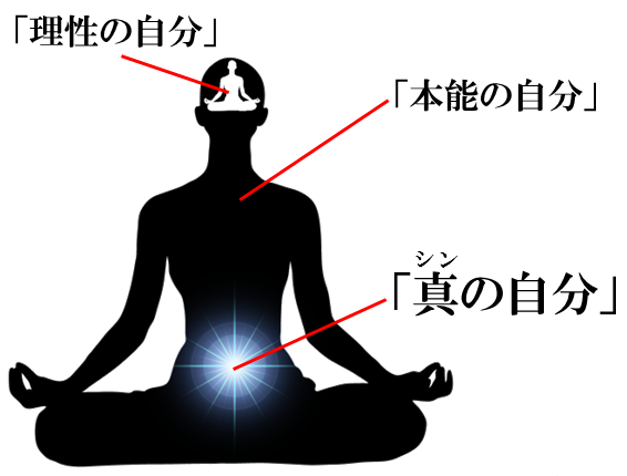 「理性の自分」「本能の自分」「真の自分」を人体で表した図